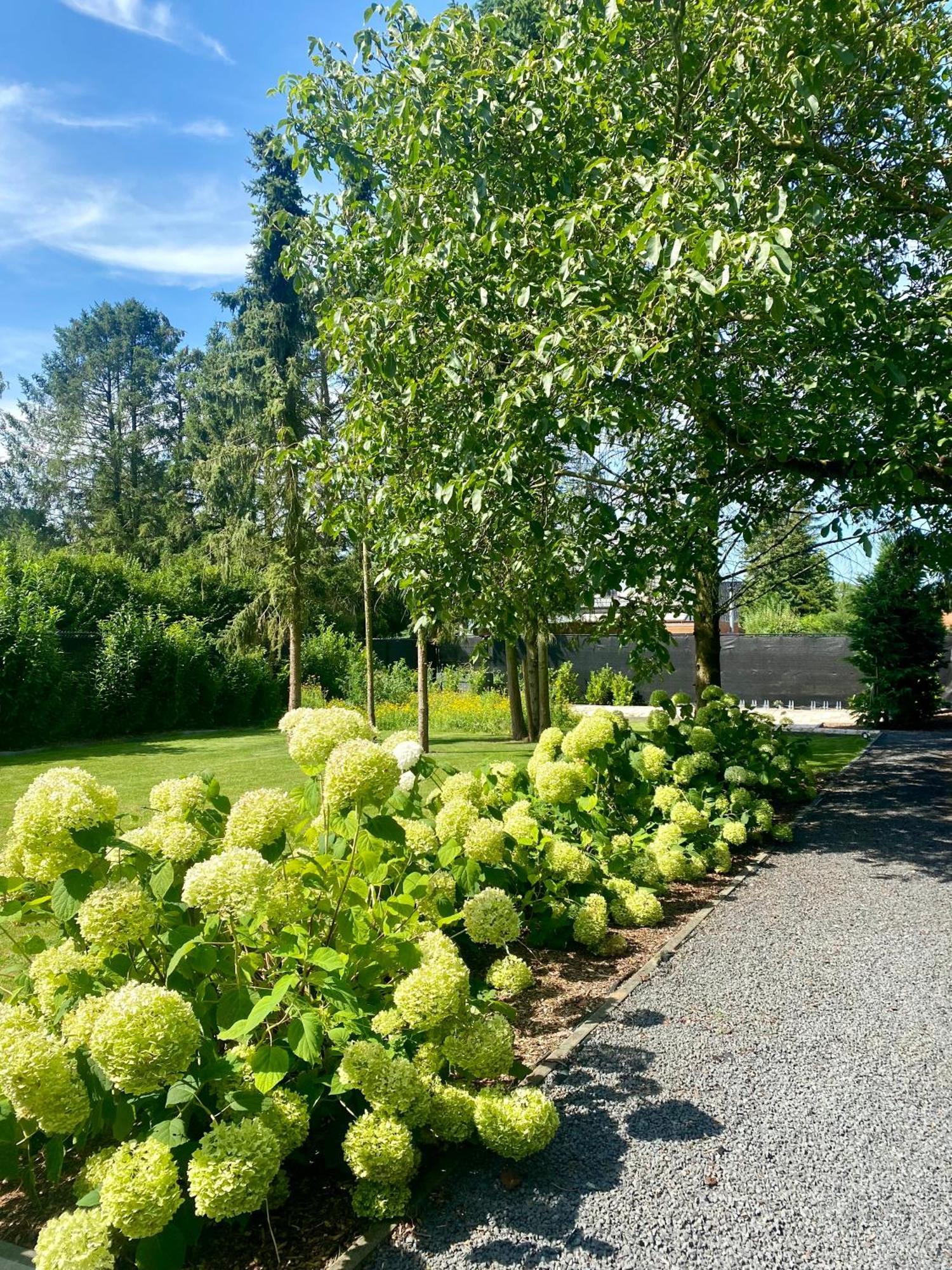 Hoeve De Kleinheide Dessel Dış mekan fotoğraf